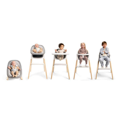 Nuna - bryn + newborn rocker seat